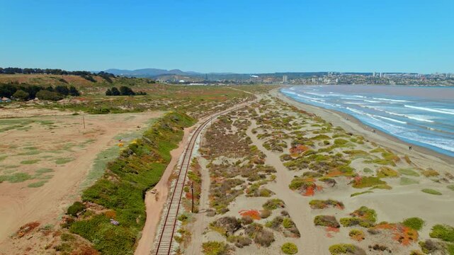 Punta Piedra Beach trails landscape, Coastline dunes of Valparaiso Chile Aerial view, Drone Panoramic