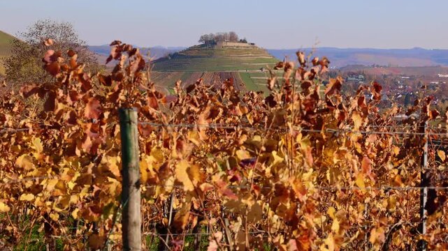 Vineyards in Autumn, View from the Wartberg, Heilbronn, Baden-W&uuml;rttemberg, Germany, Europe