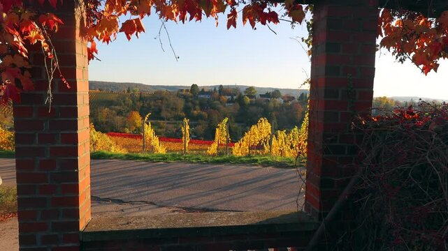 Vineyards in Autumn, View from the Wartberg, Heilbronn, Baden-W&uuml;rttemberg, Germany, Europe