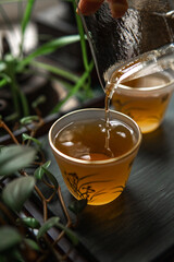 Pouring tea into elegant cups surrounded by lush green foliage creates a serene atmosphere