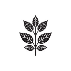 Herbal leaf vector icon symbol design illustration