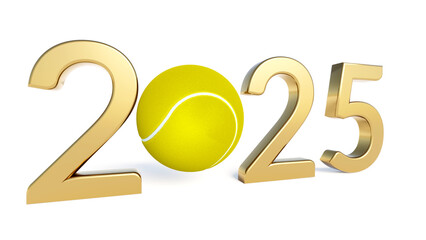 2025 tennis ball