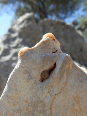 Schnecke sucht Schutz in einer kristallenen Felsspalte