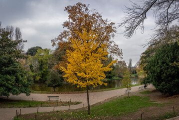 Paris, France - 11 16 2024: Park Buttes Chaumont. Panoramic view of remarkable trees and vegetation with fall colors.