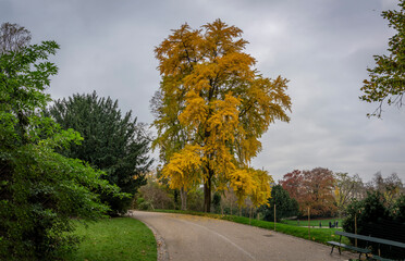 Obraz premium Paris, France - 11 16 2024: Park Buttes Chaumont. Panoramic view of remarkable trees and vegetation with fall colors.