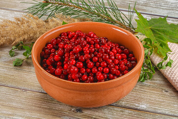 Natural organic wild forwst lingonberry