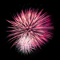 Colorful celebration fireworks isolated on black sky background.
