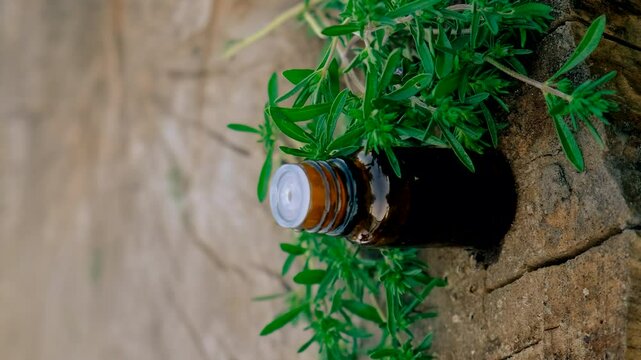 Thyme extract in a bottle. Selective focus.