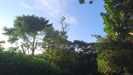 Happy and Good Moring In Residential Area Of Singapore