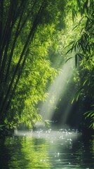 Obraz premium Bamboo Canopy Over Gentle Stream with Sunlight Glow