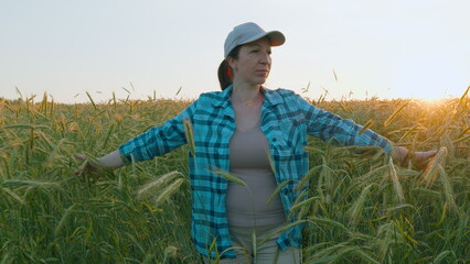 Woman Cheking Summer Harvest. Relax And Contemplation Of Nature. Agricultural Crop Management Concept. Woman Cheking Summer Harvest. Steadicam Shot.
