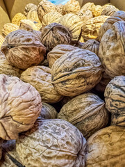 Close-up freshly harvested walnuts with their distinctive wrinkly brown shells. High quality photo