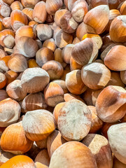  Closeup freshly harvested hazelnuts with their distinctive brown shells. High quality photo