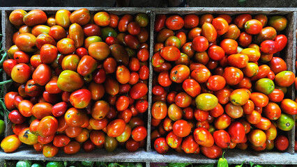 tomatoes in a market