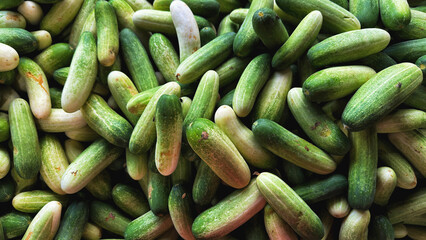 cucumbers in market