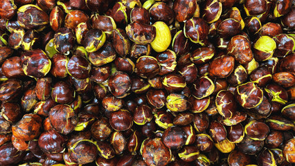 A bunch of jengkol or dog fruits in the market