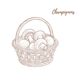 Vector basket with champignons line art illustration, graphic line mushrooms combination. Mushrooms for food. champignon. Great for any designs, textile, art, walls, package