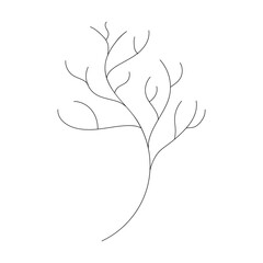 botanical doodle icon leafless branch