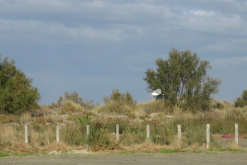 Vacances oc&eacute;an beauduc camargue surf 