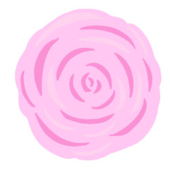 pink rose flower