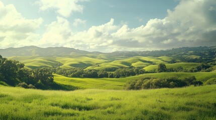Naklejka premium Expansive Green Hills Under a Bright Sky with Fluffy Clouds in a Serene Landscape, Capturing the Beauty of Nature and Lush Vegetation in Daylight