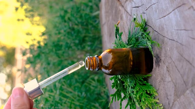 Thyme extract in a bottle. Selective focus.