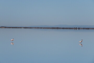 Arles oiseaux ciel mer bateaux