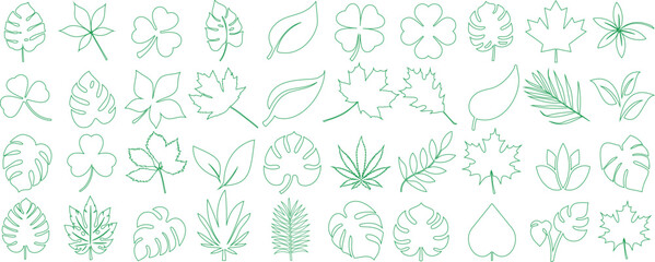 Green leaf vector outlines, minimalist leaves line art design featuring maple, palm, monstera, clover, oak, and cannabis shapes, ideal for nature themes, eco friendly branding, or botanical background