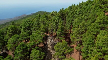 Aerial drone view of the landscape of La Palma, Canary Islands, Spain