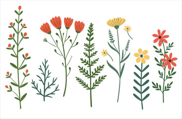 wild meadow flowers isolated object