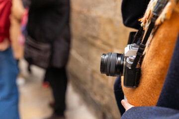 Fototapete bei efototapeten.de bestellen   