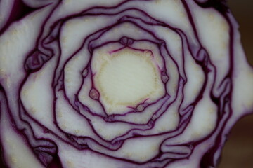 Obraz premium cross section of red cabbage