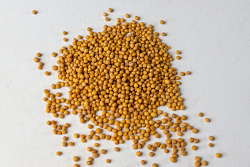 yellow mustard seed