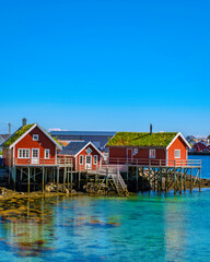Reine, Lofoten, Norway, A group of traditional red houses with grass roofs stand on stilts in the...