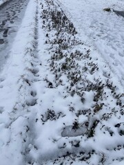 A winter road covered with snow, covered with frost, white snow