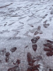 Many footprints on the snow