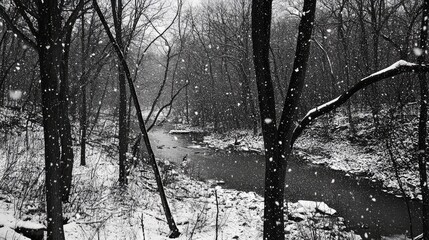 Serene Winter Landscape with Snowfall Over Tranquil Stream