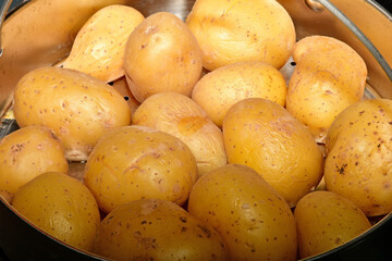 cooked potatoes in a grid basket