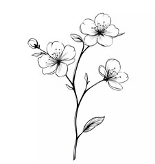 Cherry blossom flower tattoo design, simple vector line art isolated on a white background, minimalistic style, simple lines, outline drawing, bold black outlines