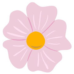 pink flower on white background