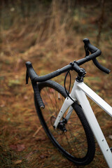 Fototapeta premium Close-up photo of a bicycle. Travel background 