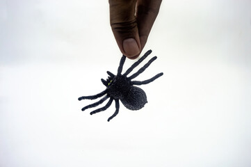 Hand holding a realistic black spider toy isolated on white background. Perfect for Halloween decorations, pranks, or educational purposes