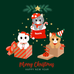 A Very Merry Cat Christmas in the giftbox 