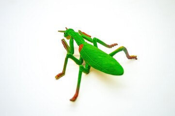 Green and brown plastic toy grasshopper isolated on a white background, showcasing detailed...