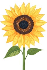 A Vibrant Yellow Sunflower in Full Bloom