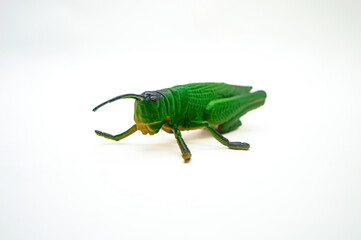 Fototapeta premium A detailed, isolated image of a green grasshopper toy on a white background, showcasing its intricate texture and lifelike appearance