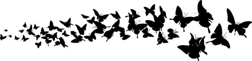 A stylized silhouette of butterflies in flight, representing freedom and nature, ideal for design and decorative purposes.