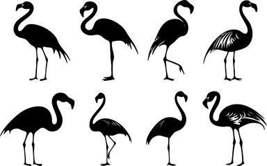 Obraz premium A collection of elegant flamingo silhouettes, showcasing various poses and styles, ideal for tropical-themed designs.