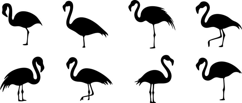 A collection of flamingo silhouettes in various poses, perfect for tropical-themed designs and illustrations.