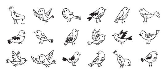 Bird doodle set. Birds hand drawn collection. Cute hand drawn bird doodles. Black on white drawing
